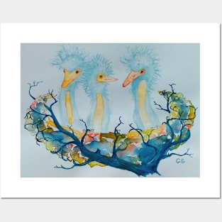 Baby Herons - birds in nest Posters and Art